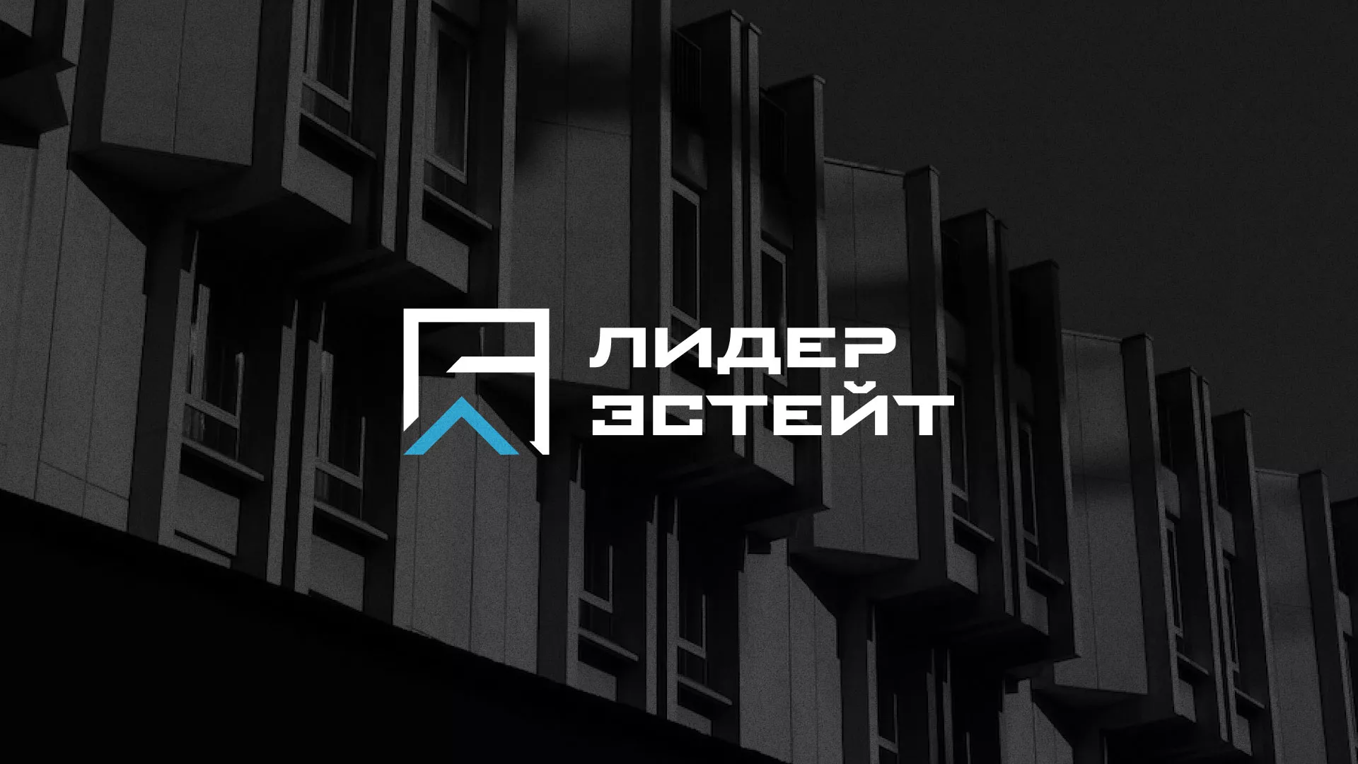 Разработка логотипа агентства недвижимости «Лидер Эстейт» в Аксае
